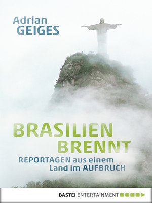 cover image of Brasilien brennt